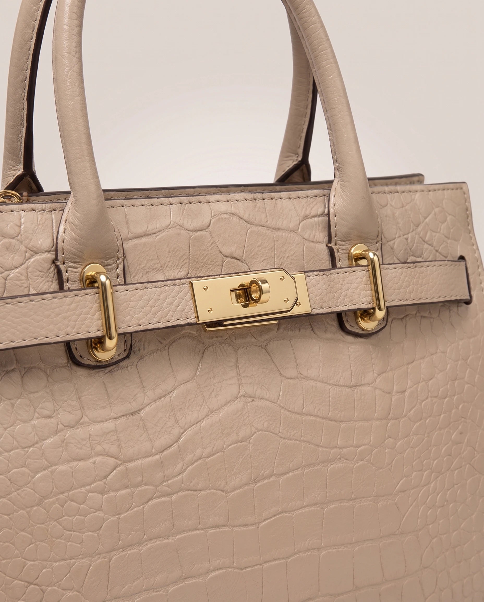 Brugman Bag Beige in Beige — detail close-up